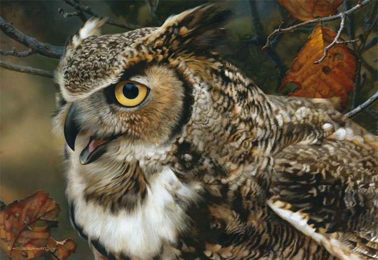 (image for) Handmade oil painting Copy paintings of famous artists Carl Brenders Paintings In Focus-Great Horned O